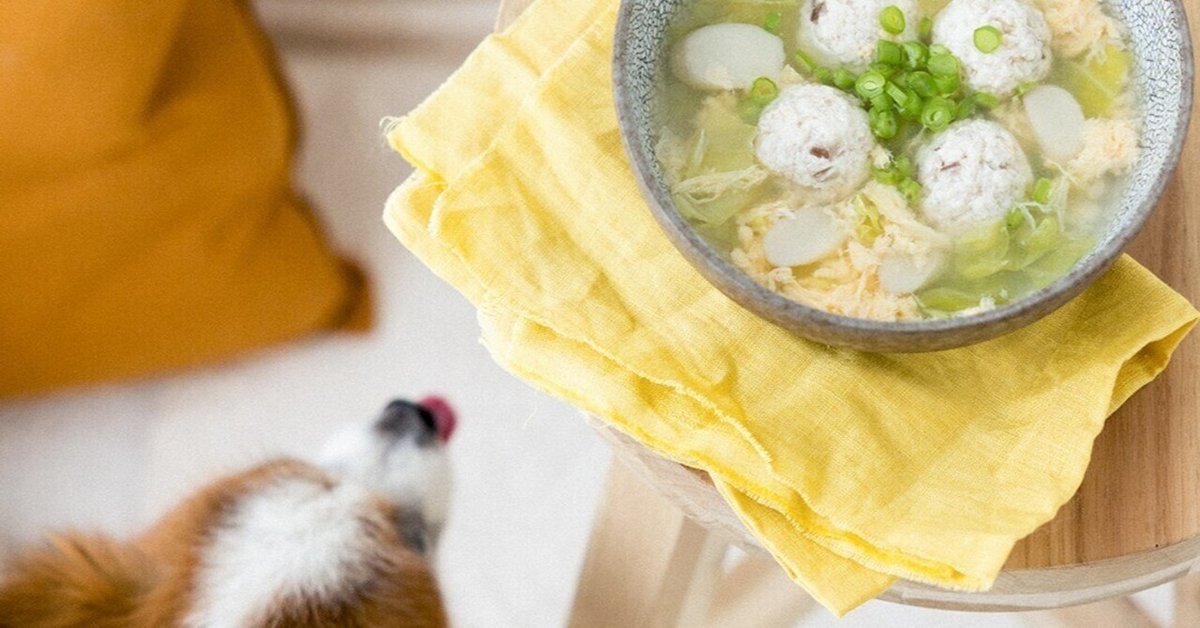 🍱🎍✨ 昨日はお正月御膳を食べまちた✌️のあご飯お正月犬ごはんのあちゃん🐶ゴールデンレトリバーゴールデンレトリバーのいる生活ゴールデンレトリバーのいる暮らしごーるでんれとりばー大型犬のいる生活犬のいる生活goldenretrievernoa🐶dog