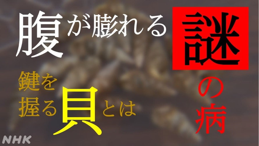 山梨県東部・富士五湖、大月市で震度5弱