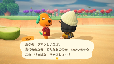 あつ森 ガーリー&カジュアルに可愛く着る！MA－１コーデ！マイデザイン配布あつまれどうぶつの森2人実況