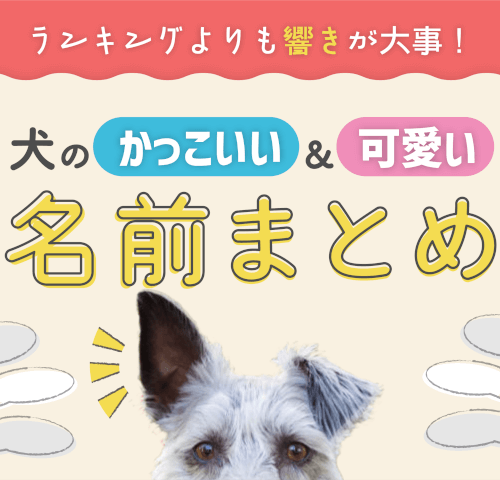 2024年赤ちゃんの名前ランキングたまひよ