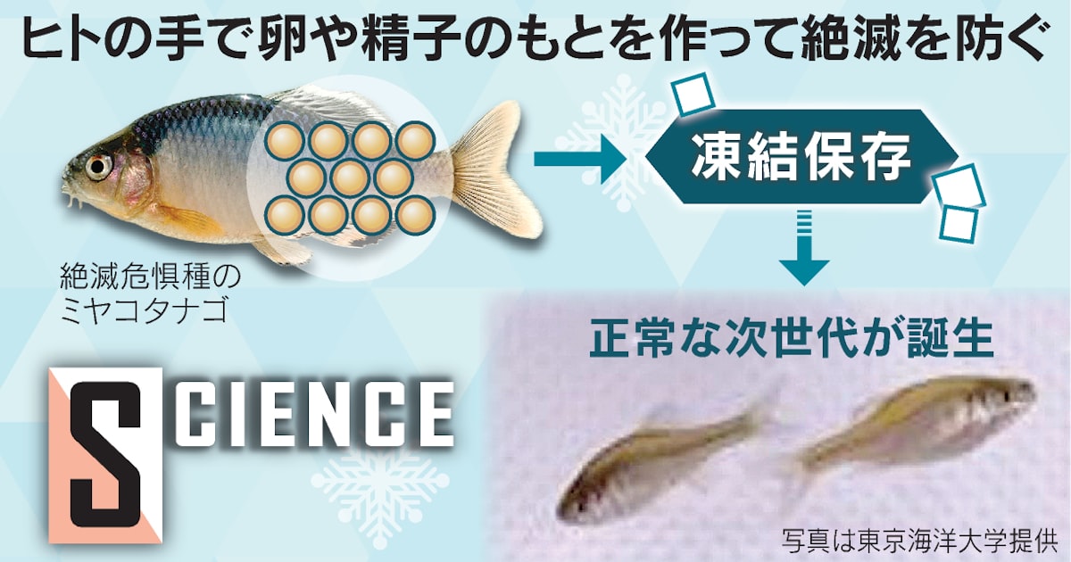 精液濃度の改善に重要な10の食べ物と5つの悪影響な食事 | ナイトプロテインPLUS