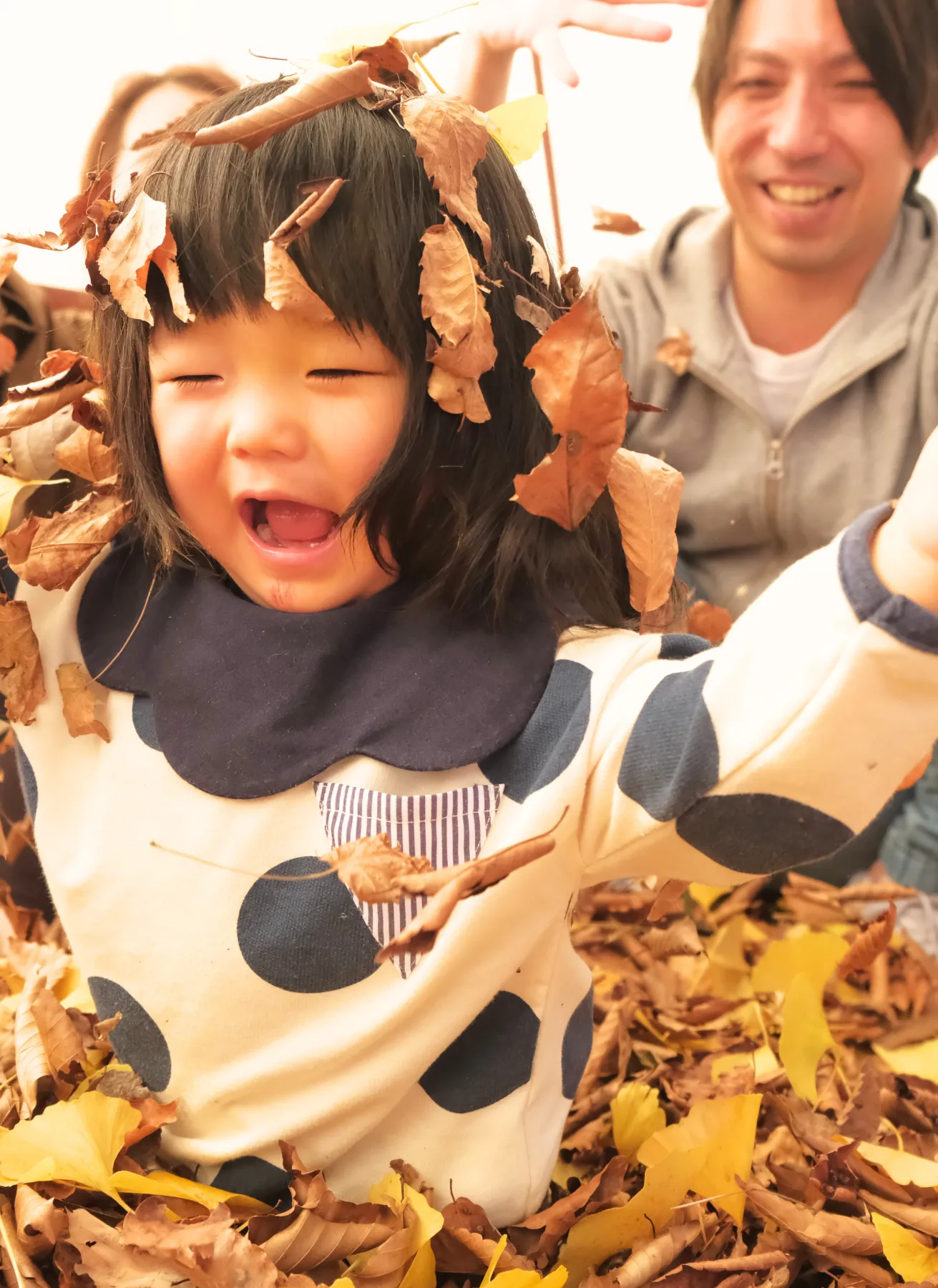 秋」一覧保育士・幼稚園教諭のための情報メディア ほいくis ほいくいず