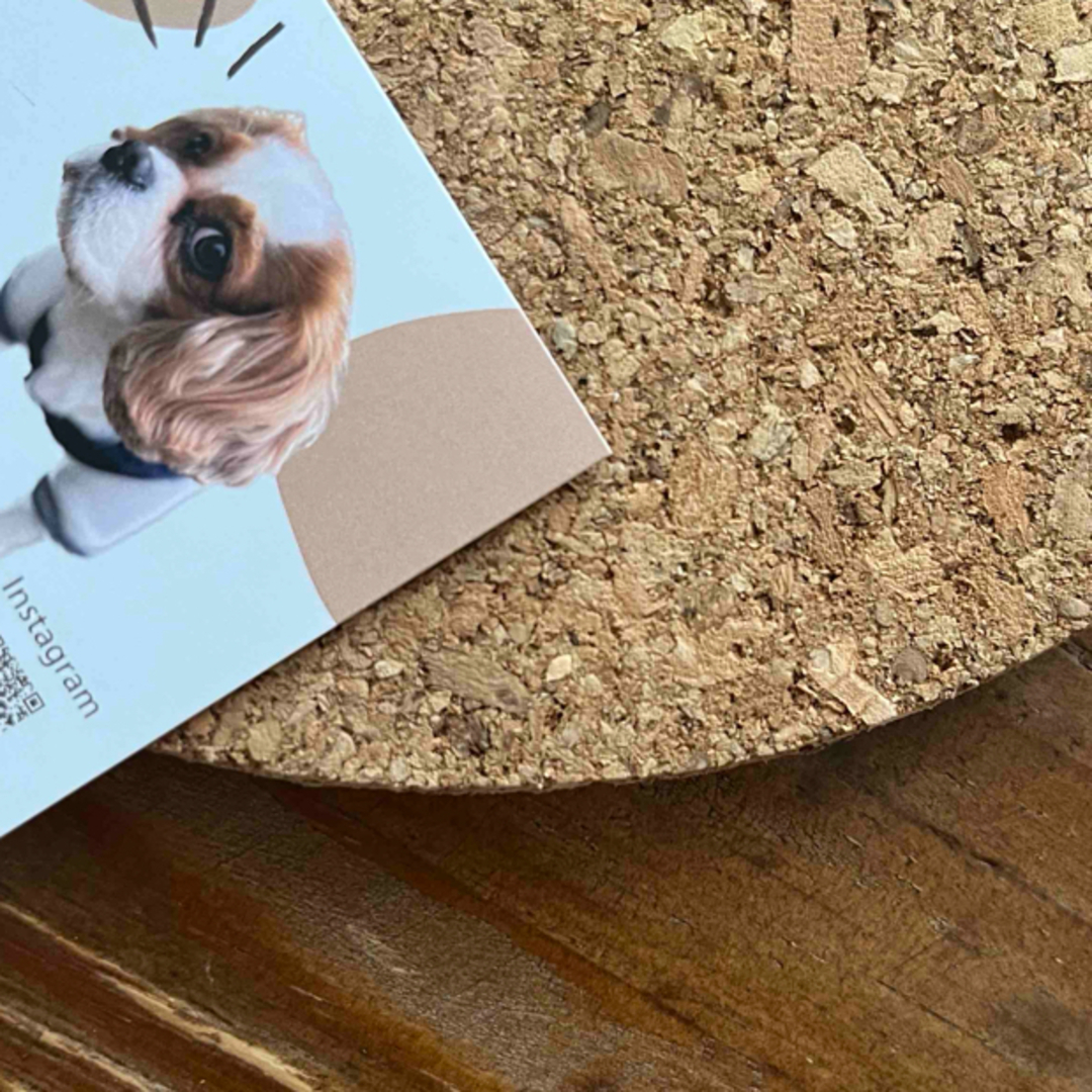 ペット名刺 多頭飼い用アニマルデザイン うちの子名刺100枚- doggy shopminne byGMOペパボ国内最大級のハンドメイド・手作り通販サイト