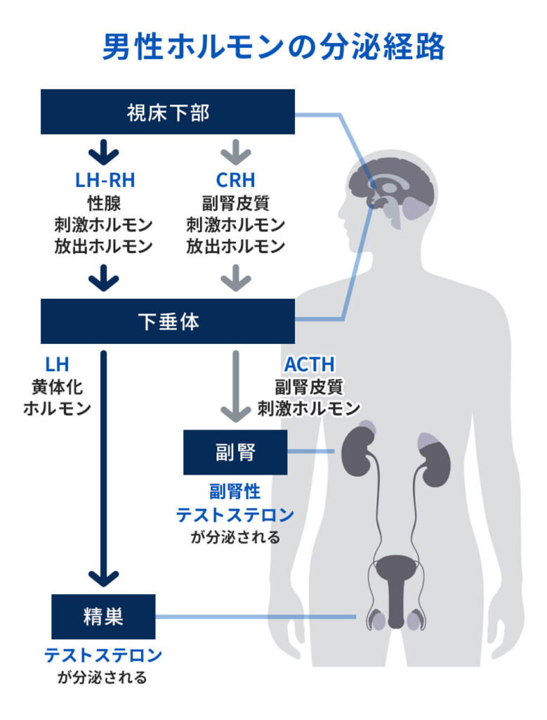 医師のご紹介｜三鷹 禁煙外来 健康診断