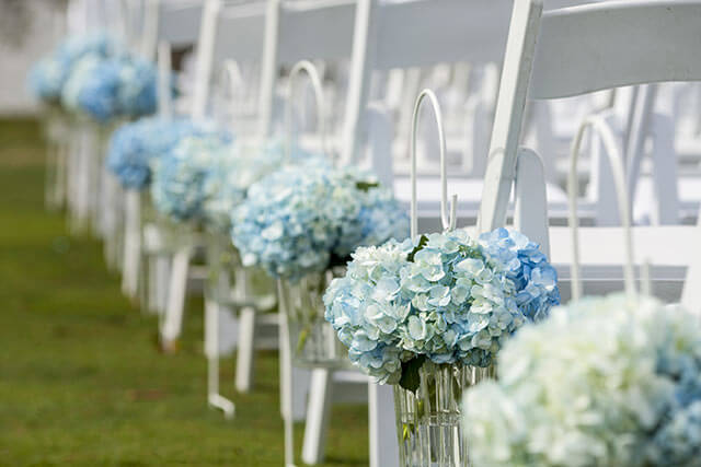 紫陽花の季節に思い出す結婚式千葉・市川 オリジナルウェディングププロデュース・結婚相談所ハセガワブライダルサロン