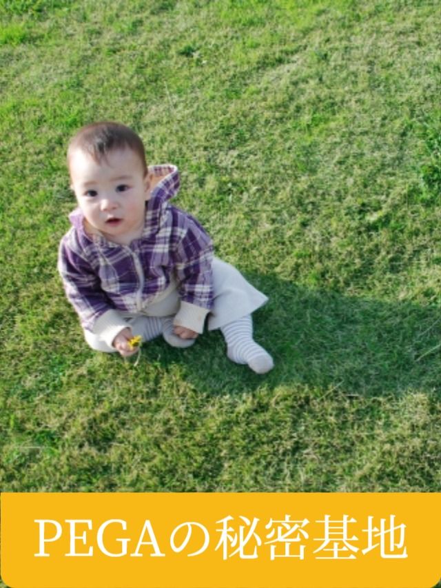 ペガくんの成長記 - YouTube