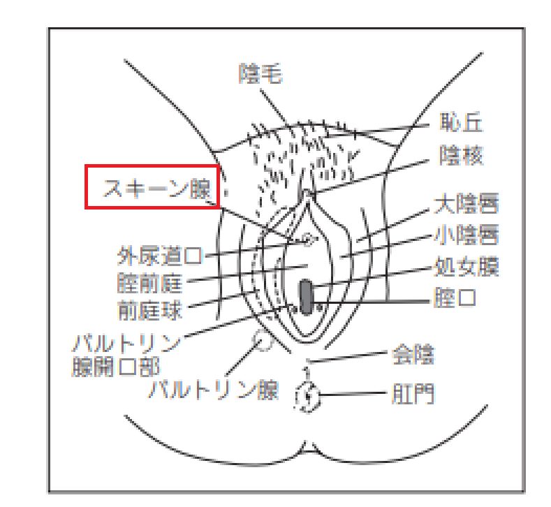 同時イキのやり方！彼と一緒にイク方法とは - 夜の保健室