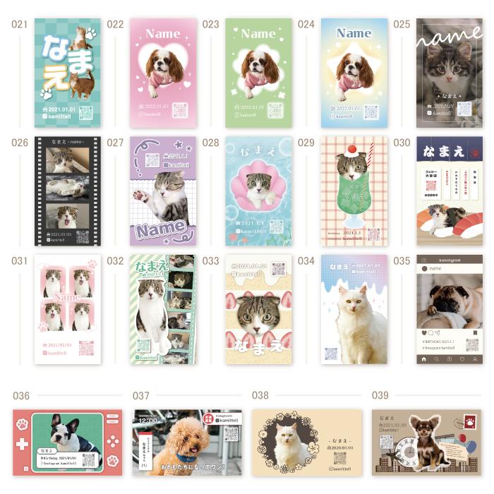 ペット名刺の制作実例犬 3頭多頭飼い の長方形ペット名刺の制作実例w_rec0047