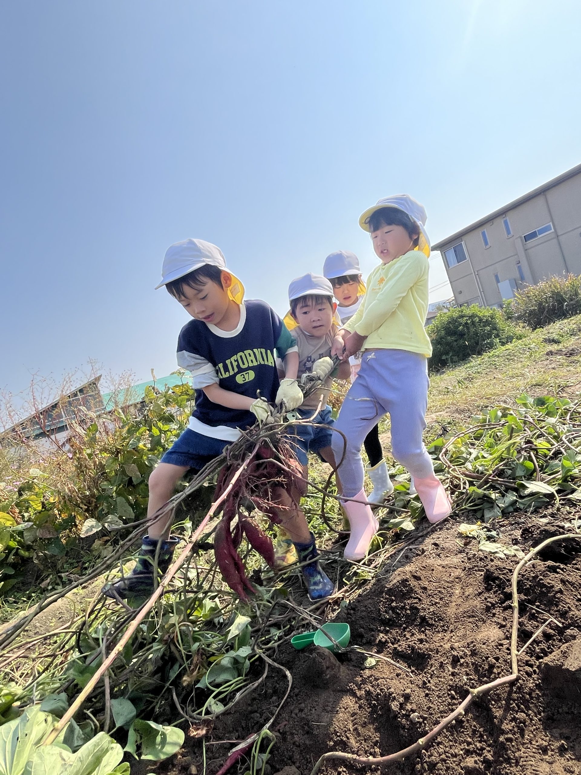 ゆり組 イラストsnowman 可愛いかわいいTikTok