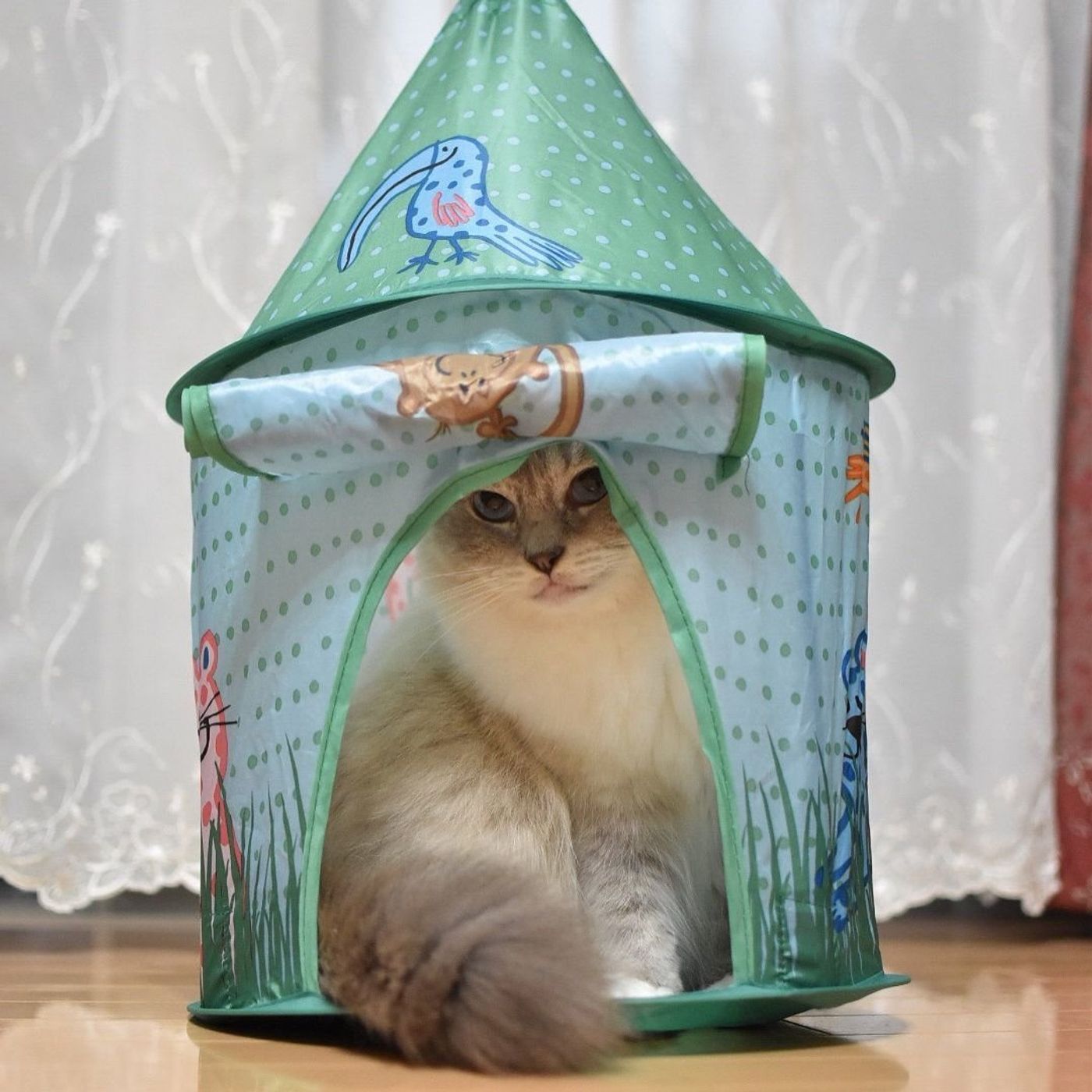 フライングタイガー フライングタイガーのプレイテントで子供だけのスペースを家のどこかに作ってあげたい - こたつから外へ