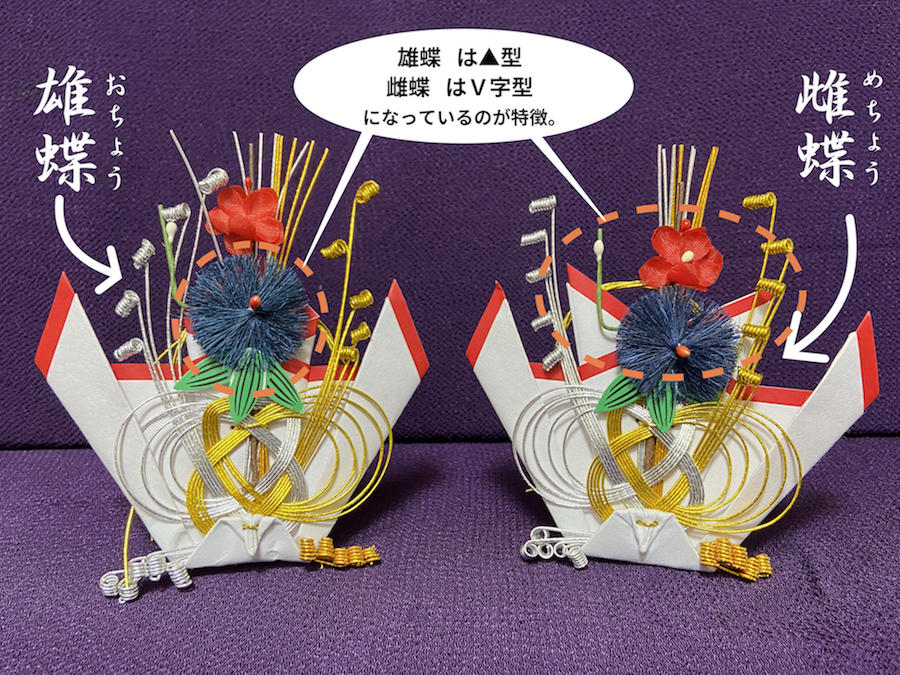 楽天市場 雄蝶 雌蝶の通販