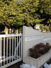 ひまわり幼稚園 - YouTube