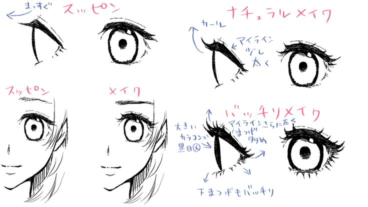 目の描き方。描き分けの参考イラストをリアル系からかわいい系まで紹介 お絵かき講座パルミ