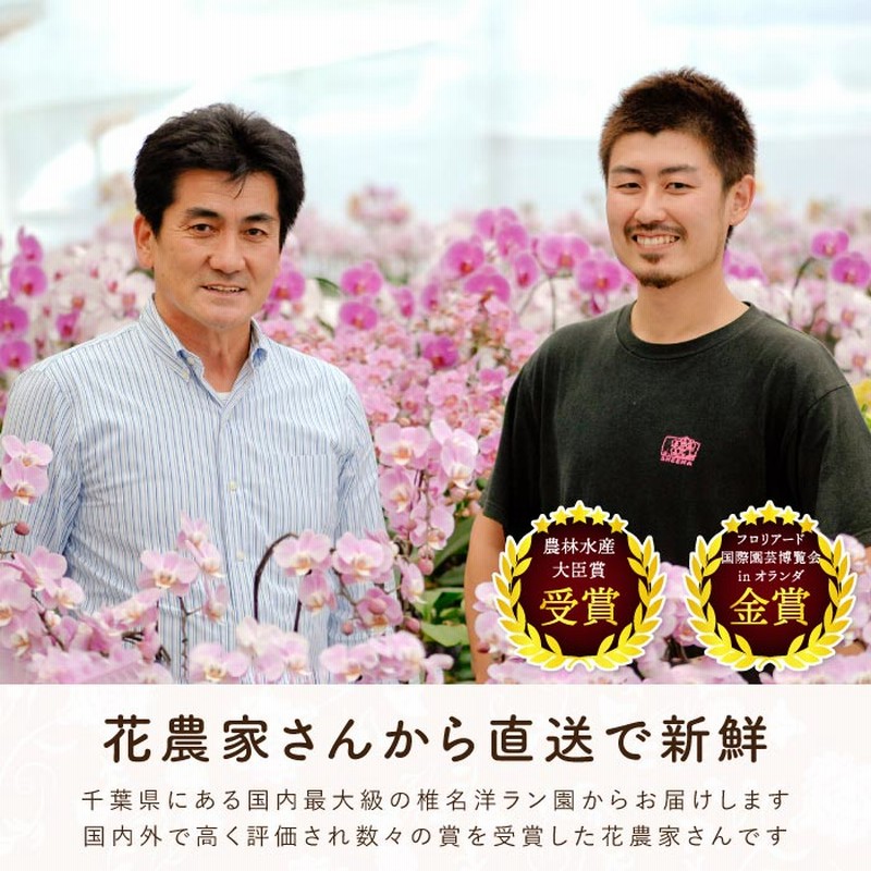 楽天市場 プレゼント 祖母 ガーデニング・農業花・ガーデン・DIY の通販