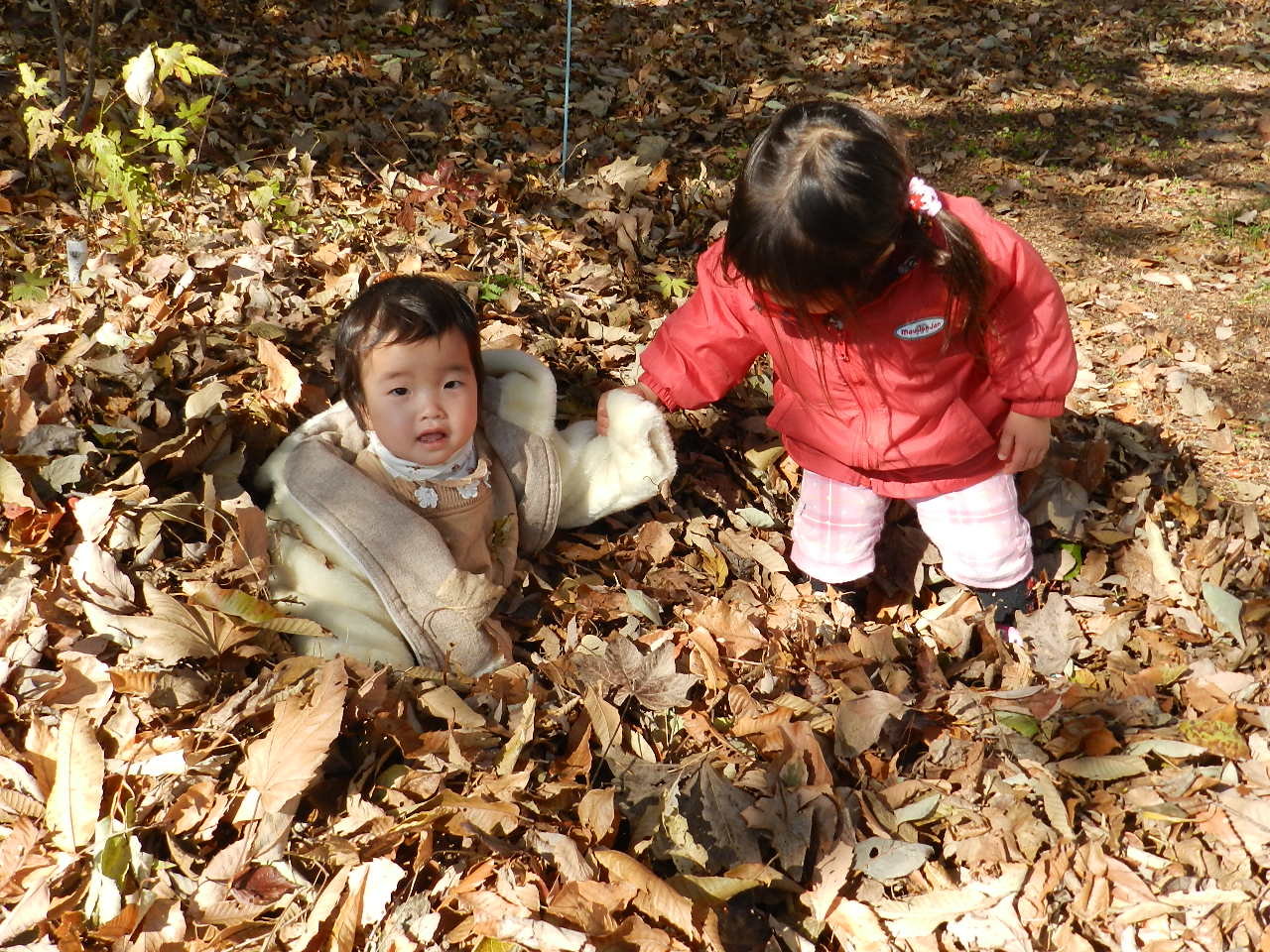 ティーンエイジネクラポップ 石風呂の通販 by こむぎこ屋ラクマ