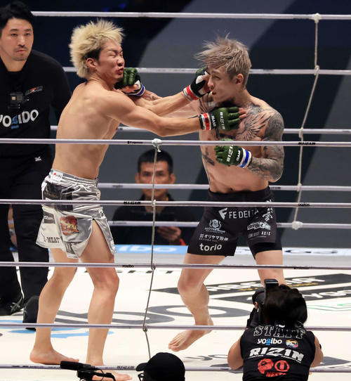 玉木悠🦍🦏🐅 on X: 