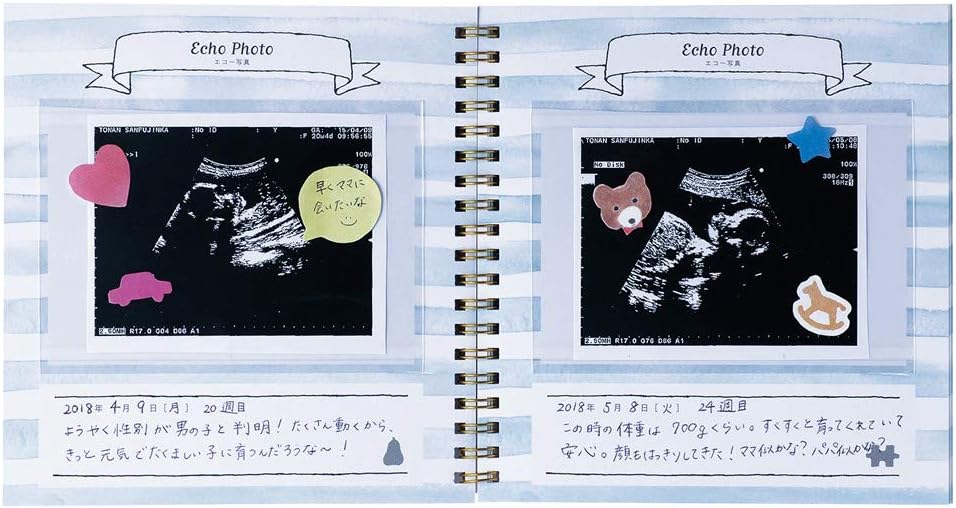 楽天市場 エコー写真アルバム 手作りの通販