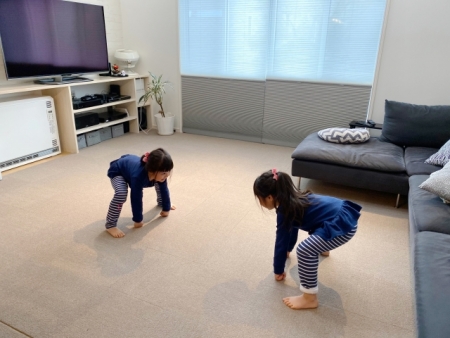 公益財団法人 日本相撲連盟