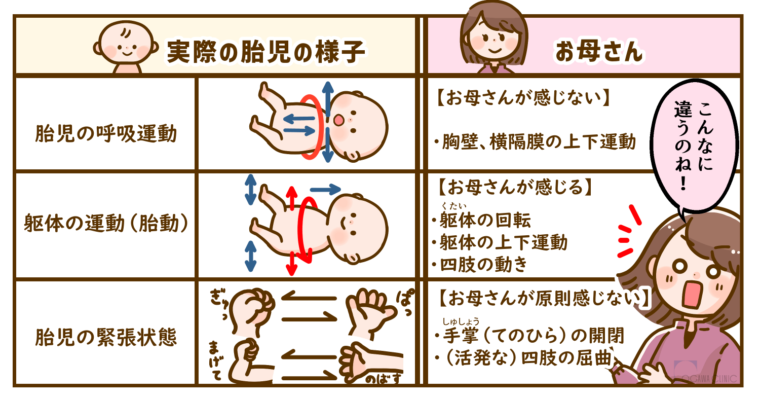 臨月にお腹に下がる時期とそのサインとは？Pampers JP