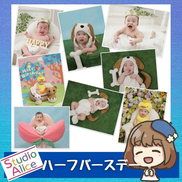 ハッピーバースデー七五三 スタジオアリスで撮影した写真を受け取る。購入・特典アイテムを全て紹介！ - りんごの時間