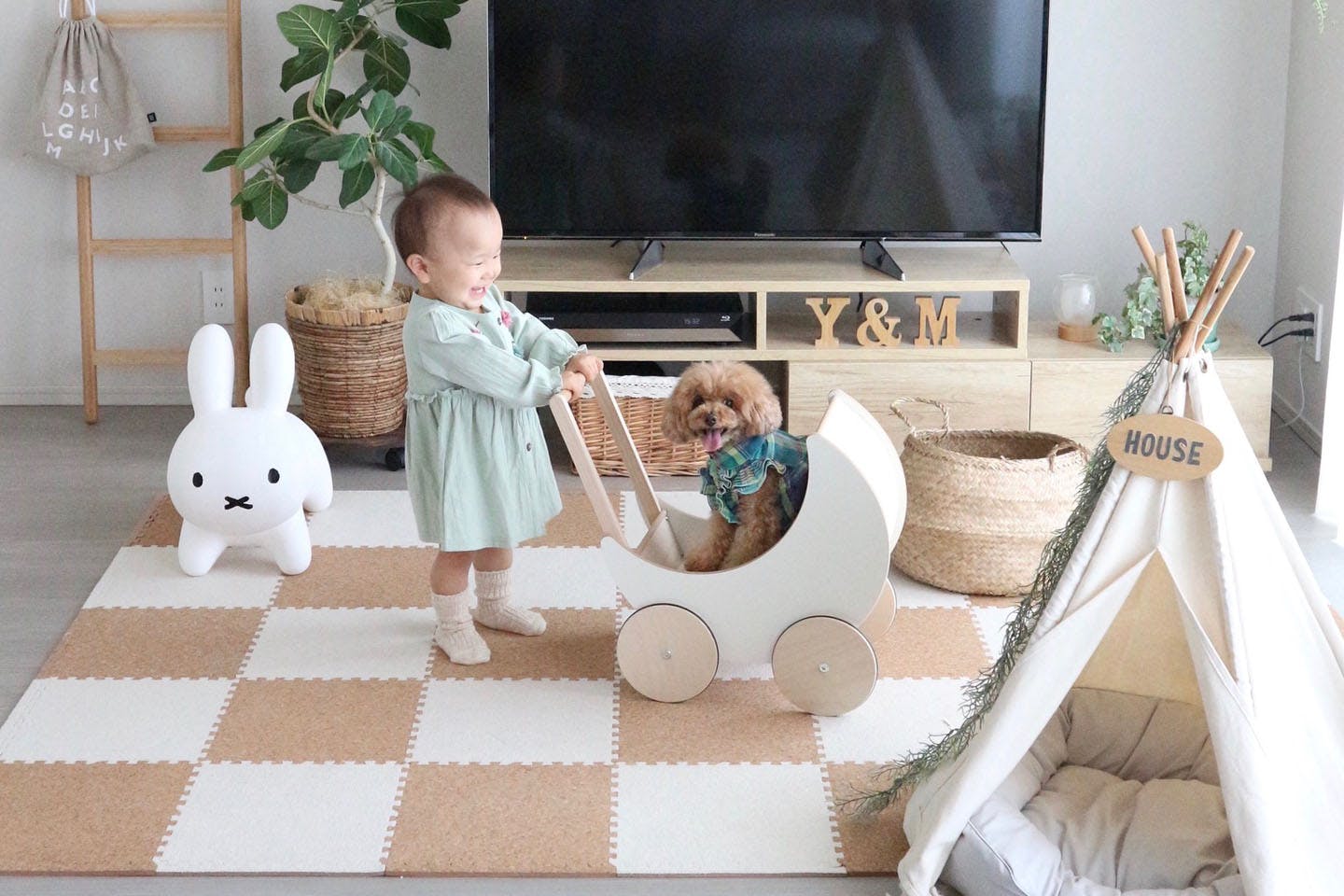 犬との暮らしに便利なグッズを間取り別にお部屋作り紹介 - ペット用品の通販サイト ペピイ PEPPY