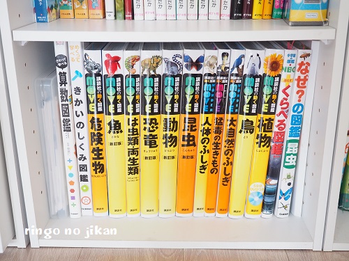 作って良かった絵本棚、おかげで片付けができるようになってきた。ヨガとシンプルライフ