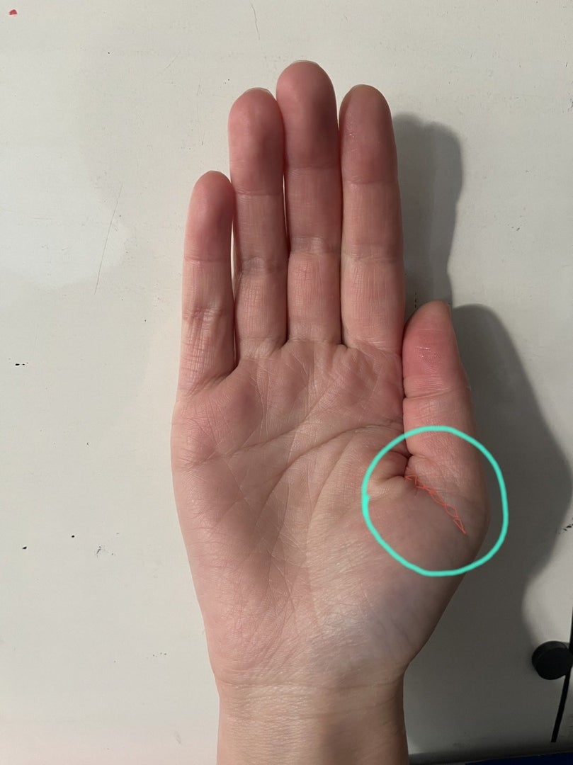 ファミリーリング - 無料で当たる手相占い