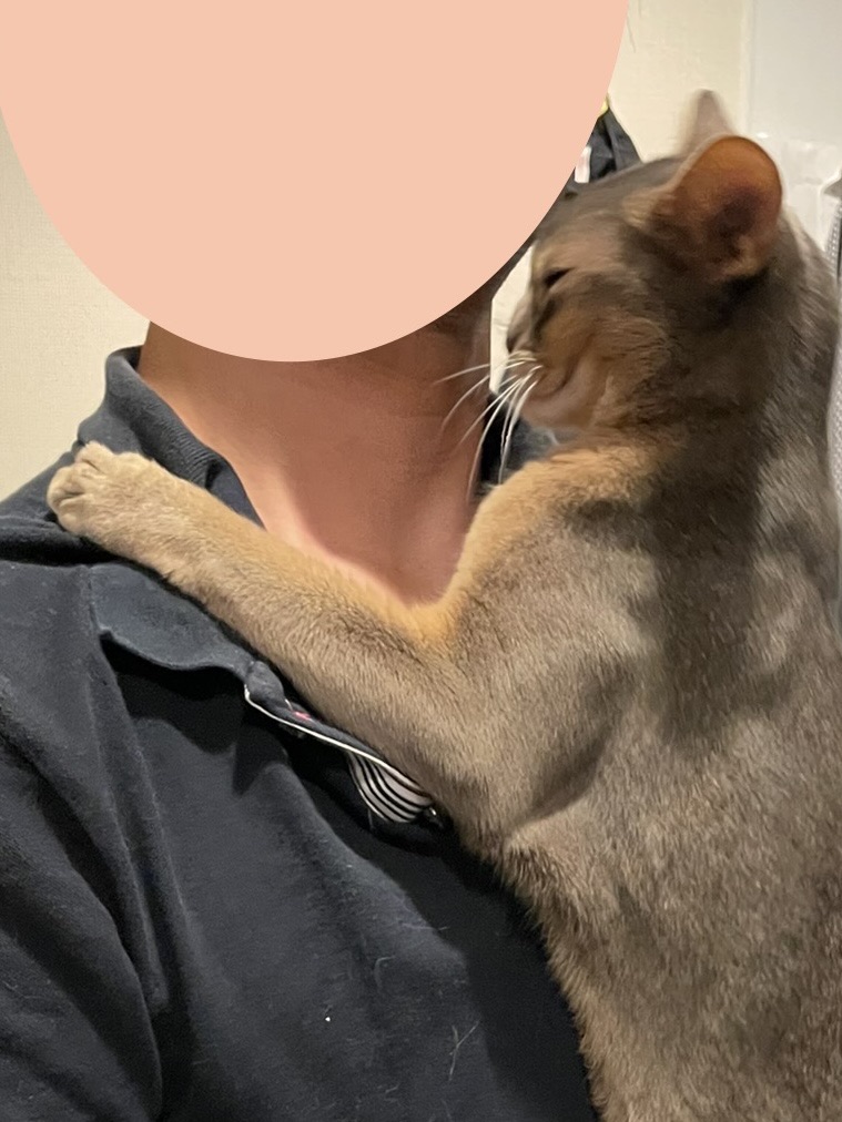 青髭隠しアイテム使用方法オオカミくん男磨き