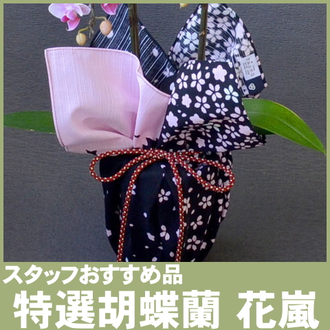 保存版 誕生日の英語メッセージ