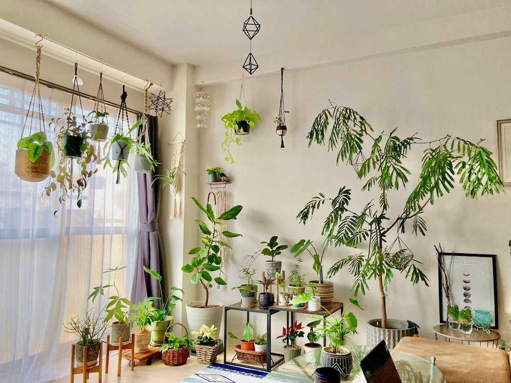 風水でよい子供部屋にする方法 風水師が語る パワーストーンの風水ストーンきらきらラボ