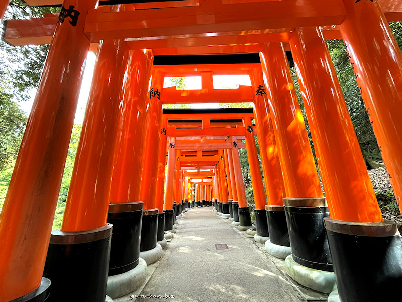 桜井識子 - SearchX