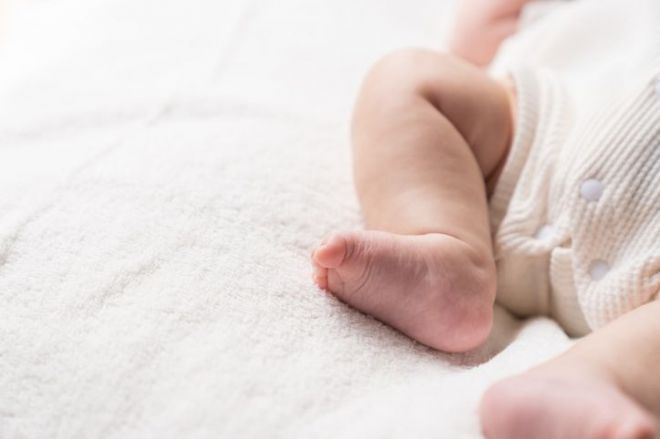 公園で遊んできました 年中・年少のおともだちの園外活動 – かほく あい こども園