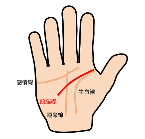手相 親指の付け根「金星丘」ガイド - zired