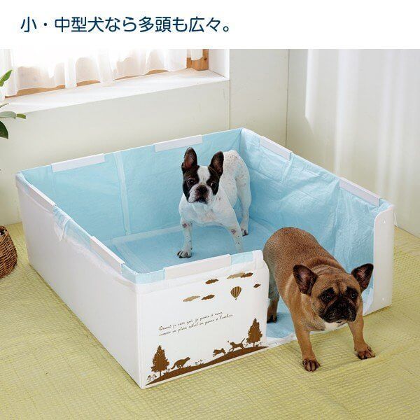 犬のトイレトレーを手作りしよう！作ってみたいDIYアイデア集28選ハッピーだWan