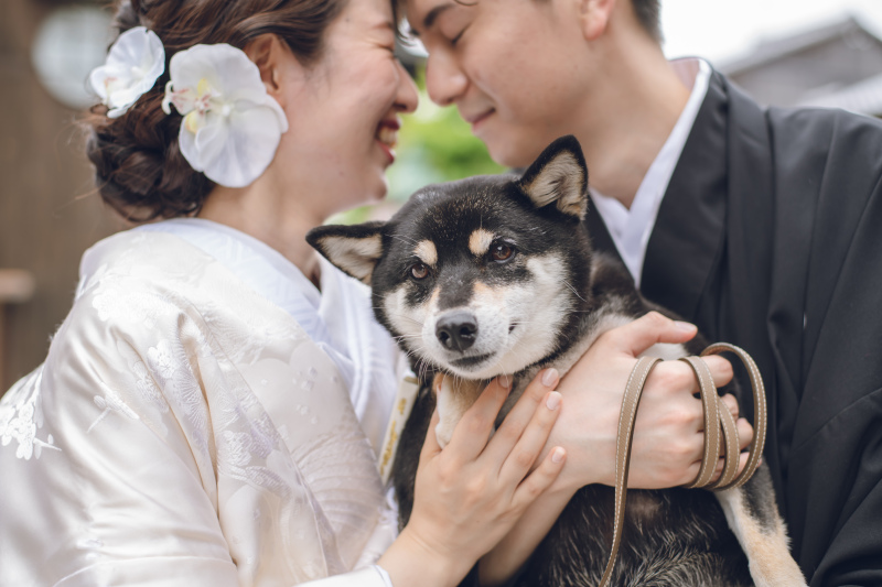 ペットとマタニティフォト スタジオリッツ 写真館ベルエクラALLBUM