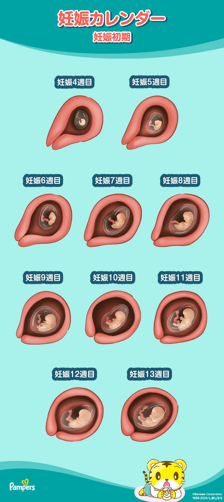 伊藤産婦人科**ベビーアルバム