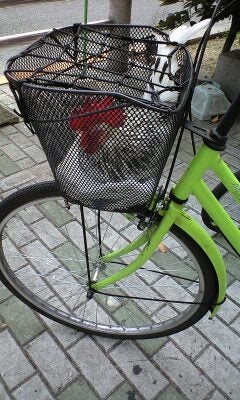 高畑充希さん、シングルマザーを演じ「子育ては女性を追い詰める。しんどいお母さん、誰かを頼って」：telling, テリング