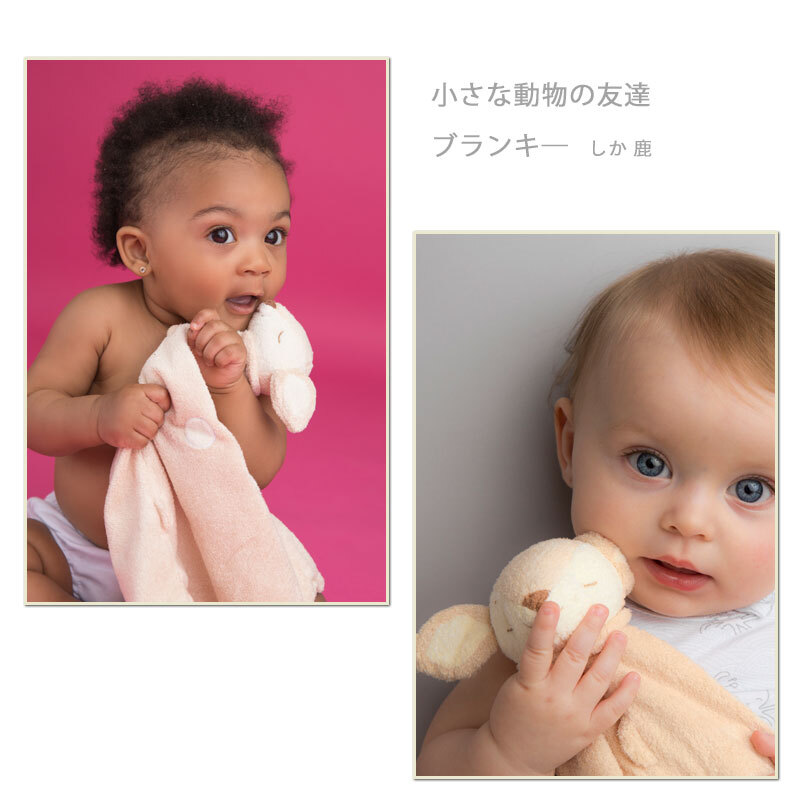 ☆ロングコートチワワの男の子♪超超超超超スーパー極小サイズ！！リトルバンビ君♪TIARA PETS 子犬入園情報ブログ