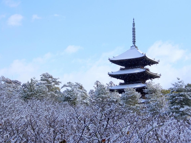 冬に行きたい！】京都のおすすめ観光スポット8選－雪化粧と冬の空気感が似合う場所｜THE GATE｜日本の旅行観光マガジン・観光旅行情報掲載