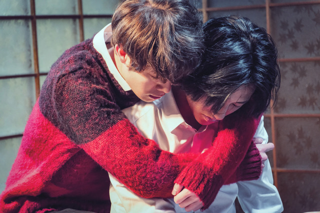 海辺でおでこをくっつけるカップル5136381 の写真素材 - アフロ