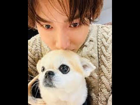 ☃しょっぴーの犬卵☃@_snowman_shota_• Instagram photos and videos