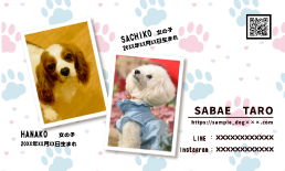 かわいいペット名刺を作れるおすすめ印刷サービス写真館やグッズでも思い出を残そう - シークツリ