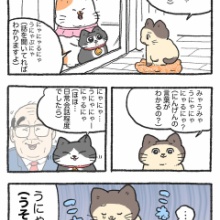 やじま商会 - ねこおじ Powered