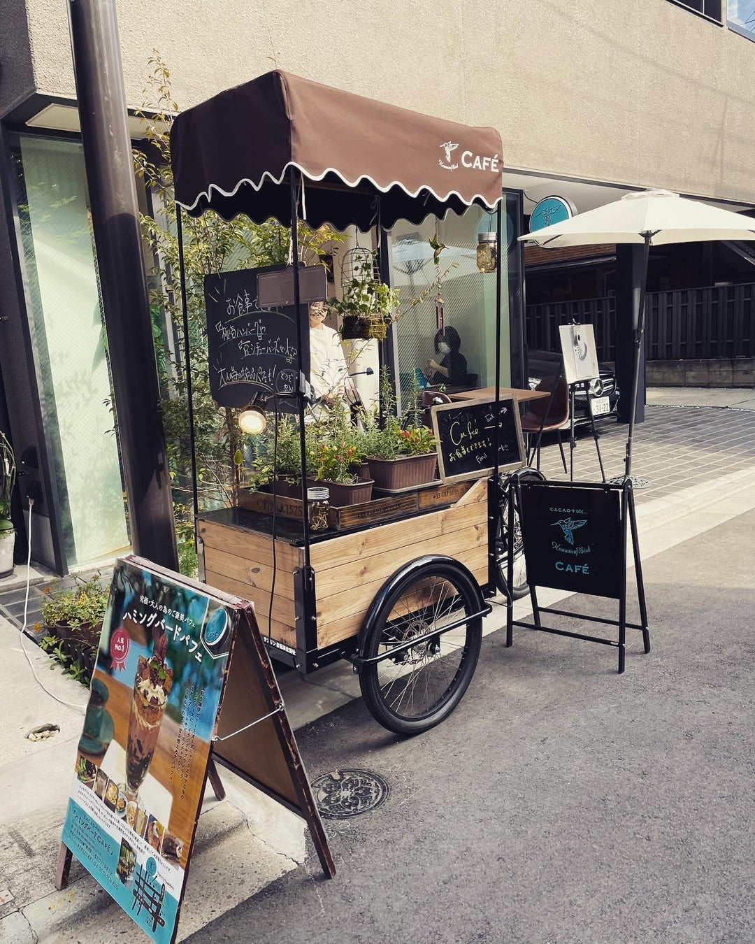 北海道・旭川 観光スポット巡り！旭山動物園ケンとメリーの木四季彩の丘森の妖精テラス北海道A 楽天トラベル 観光体験
