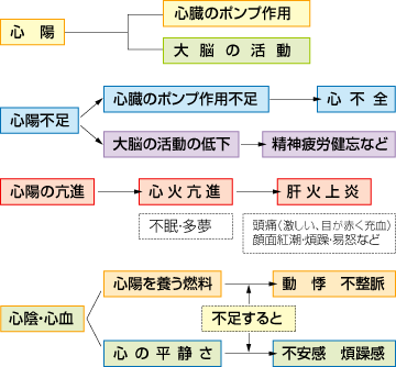 若い女性とバセドウ病｜女性と心臓・血管の病気｜心臓・血管の話 - みやけ内科・循環器科