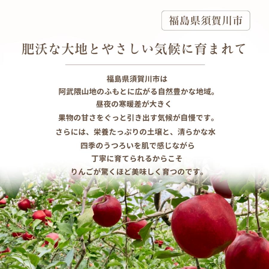 気軽に非日常を味わえる👇 @keta_odekake_fukuoka 福岡おでかけ情報満載 いいねもフォローも 待ってますー🤝✨今回紹介するのは福岡県北九州市門司区にある 📍 門司港レトロ観光列車 潮風号 九州鉄道記念館駅〜関門海峡めかり駅までの10分間の非日常の旅ができる！ 関門海峡めかり駅に着いたら お洒落なパン屋さんで一息ついて🥐 日本最大級のタコの滑り台がある公園🐙でも遊べる🙌