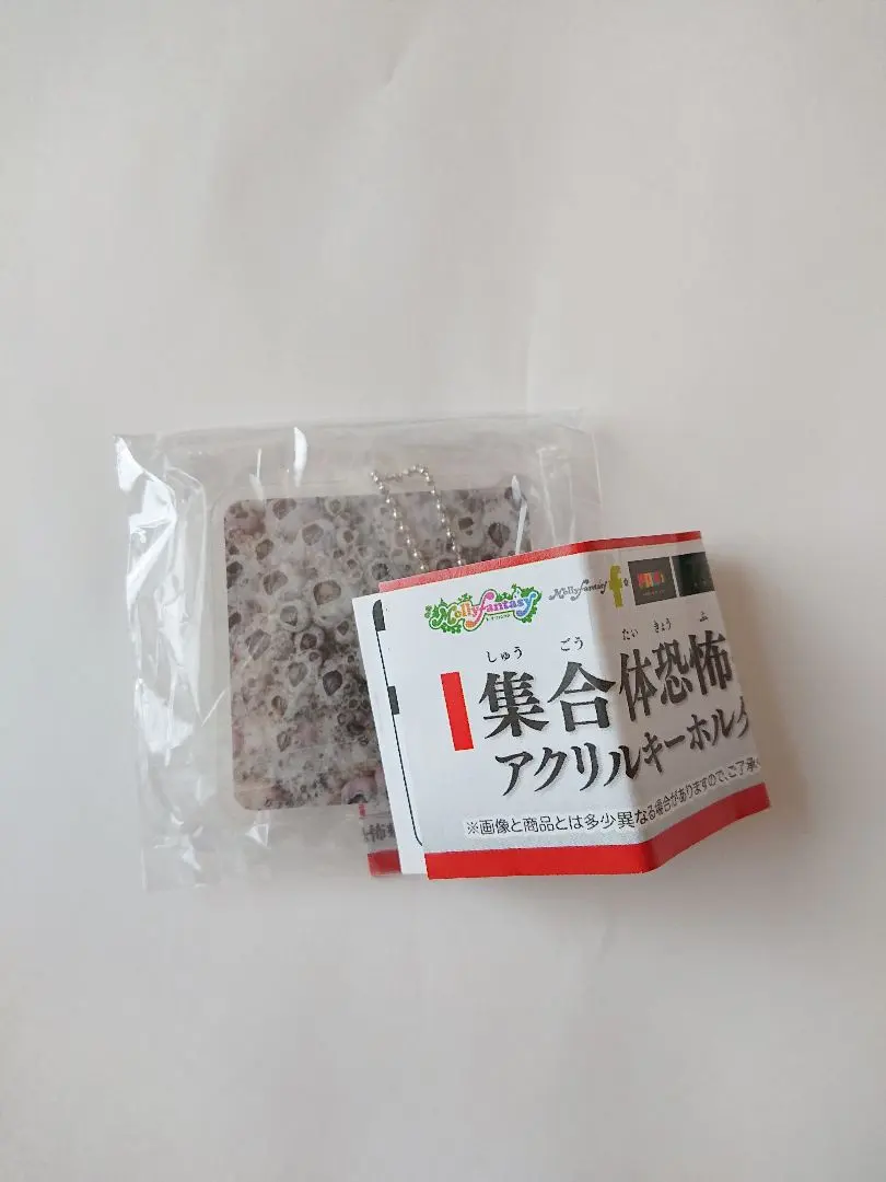 BEAMS F＞集合体恐怖症の方、失礼します。ビームスF 新宿BEAMS