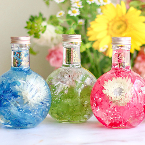 20代後半の姉へ誕生日プレゼント！家族へ贈るギフトのおすすめ人気ランキングocruyo オクルヨ