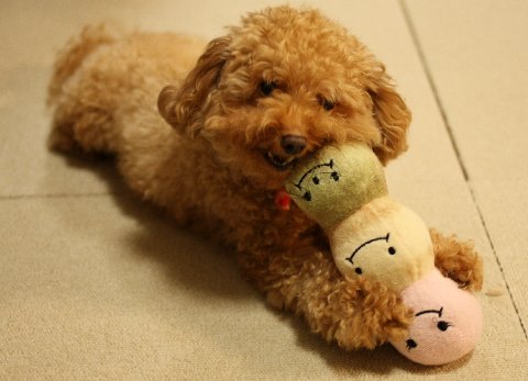 新生はんにゃ！！？クロオフィシャルブログ「クロリサと呼ばれて・」Powered by Ameba