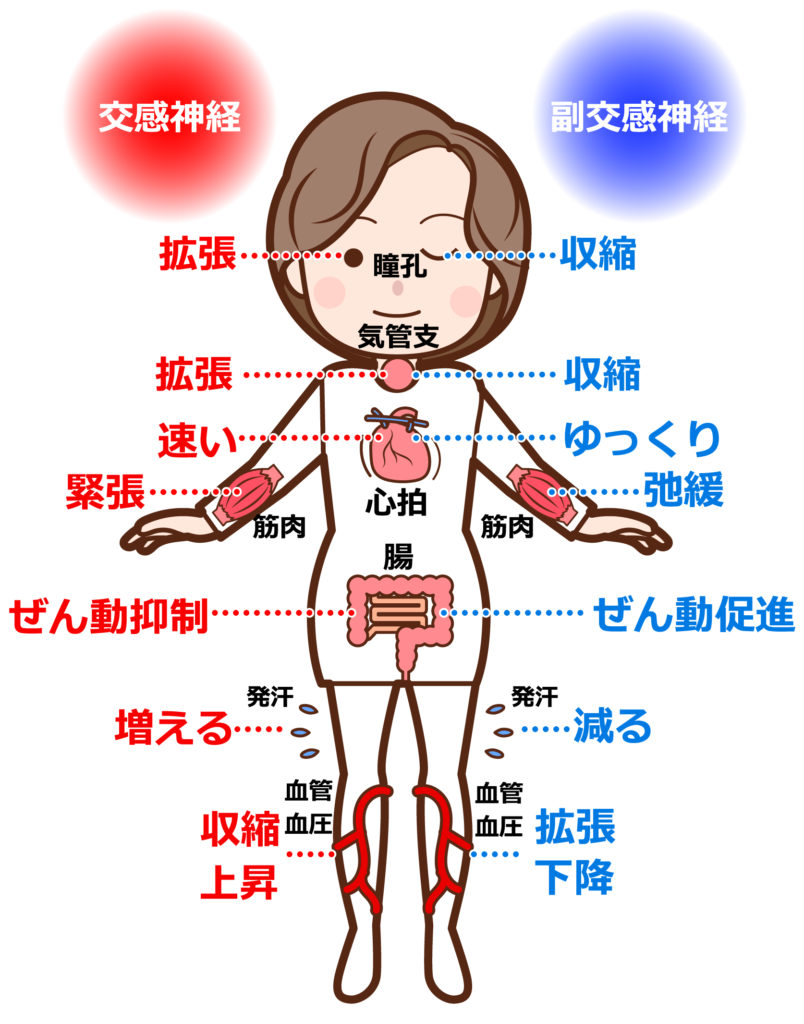 不安症：東京・多摩地域の心療内科・精神科：府中こころ診療所